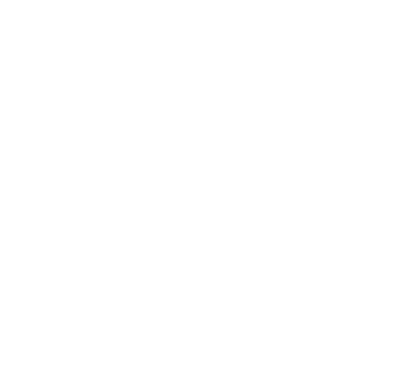 intaktsnacks.cl